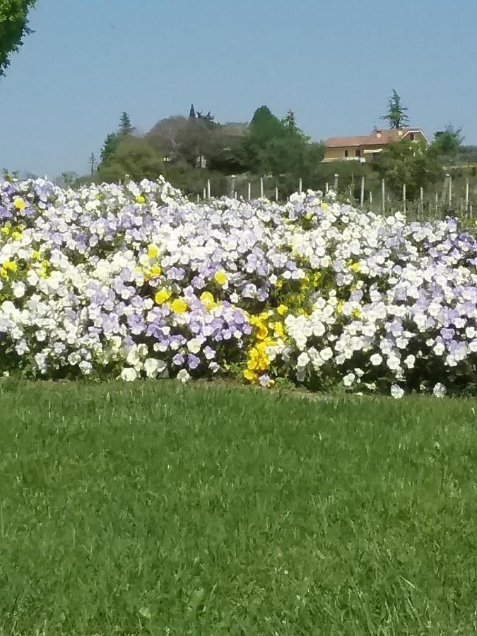 Appartamento Filippo Castelnuovo del Garda Extérieur photo